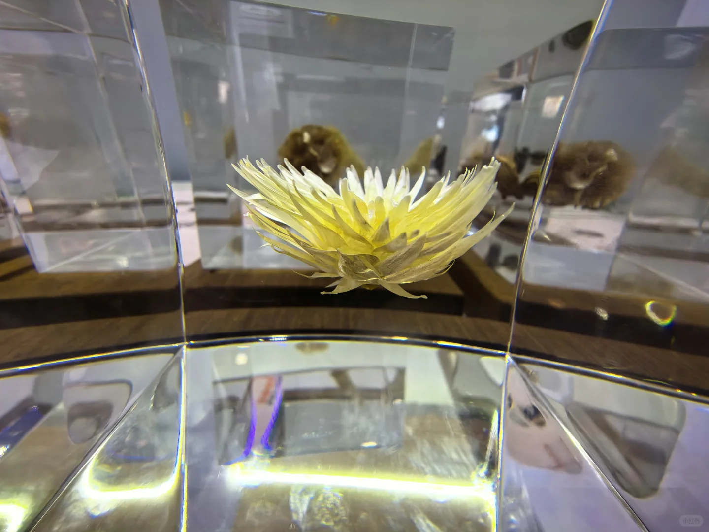 CMF树脂工艺01篇：从液态到固态的工艺魔法