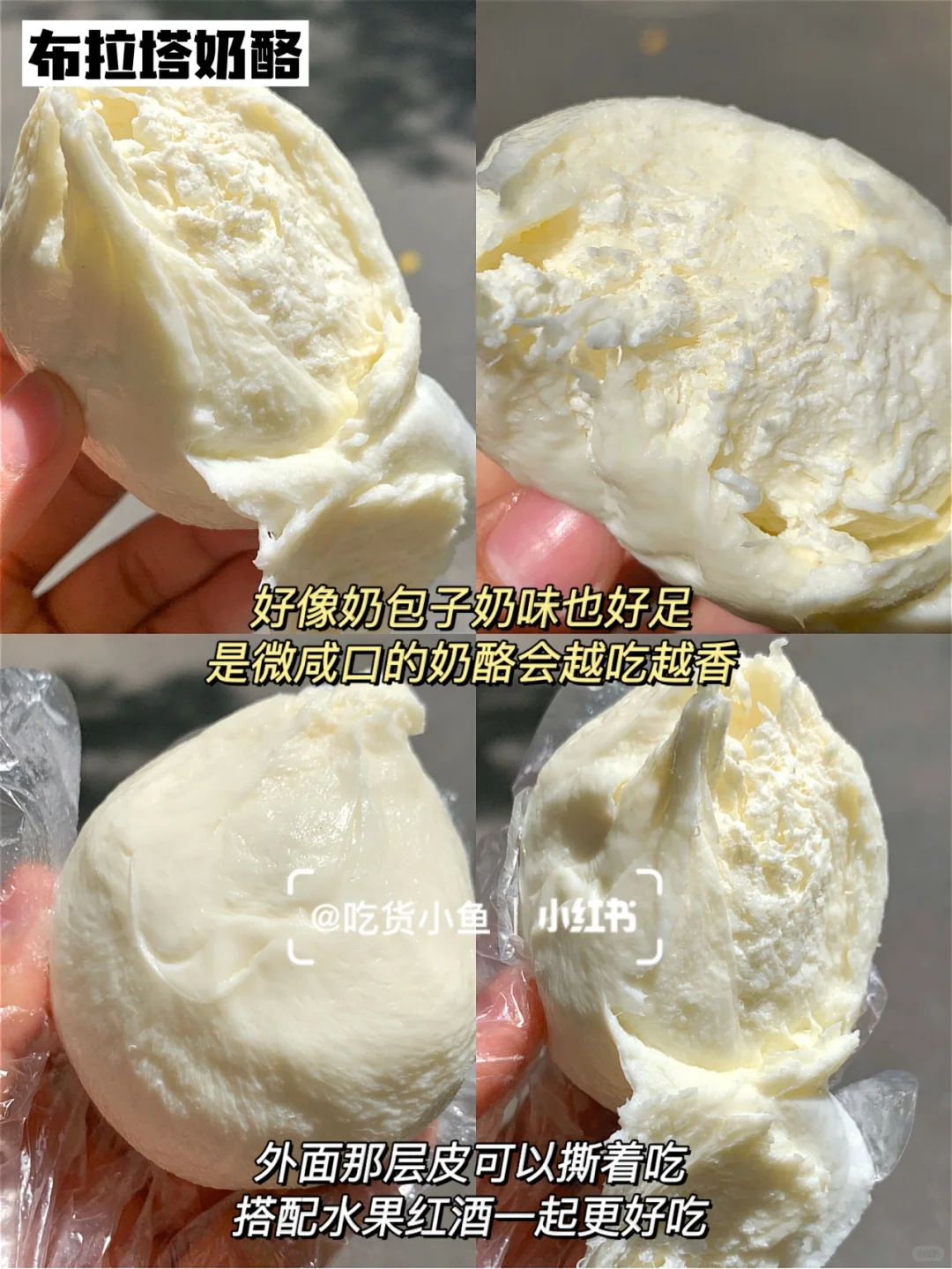 你们要的奶制品合集来啦！！！