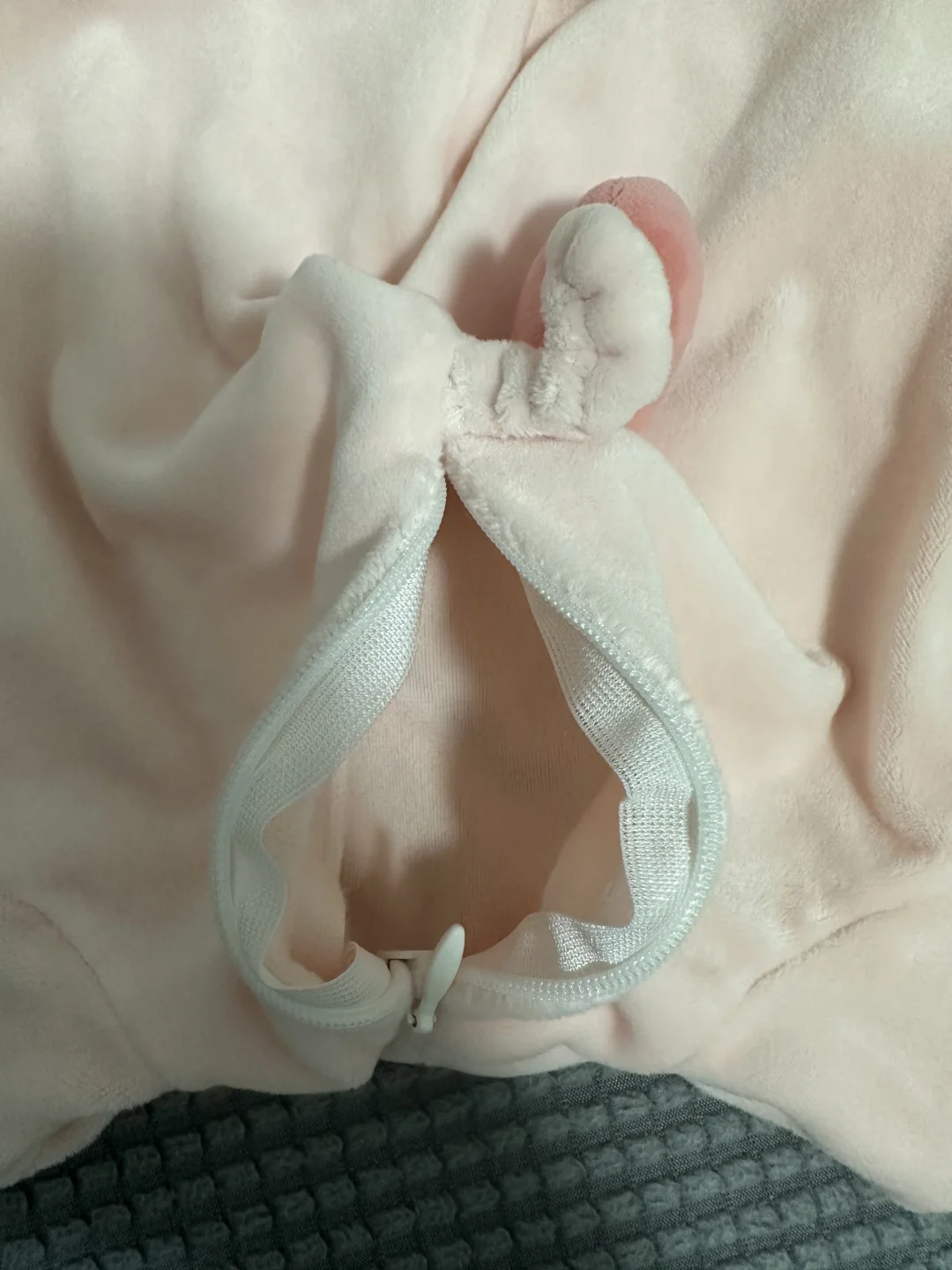 又给猪猪做手术了~