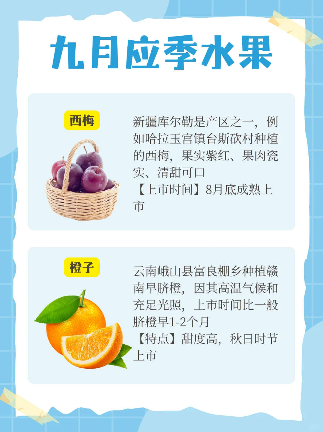 九月应季水果?来啦！