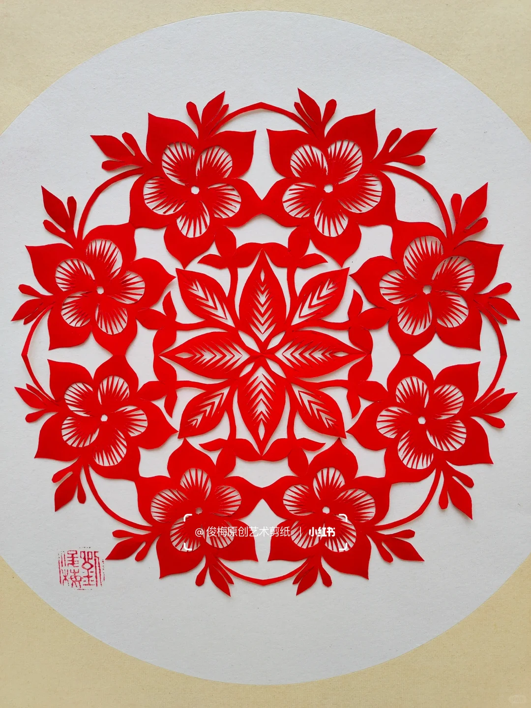 每日一剪｜万代兰