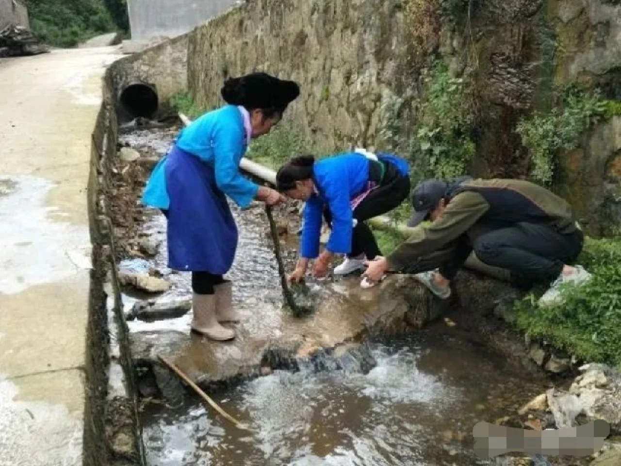 关于葛麻手工纺织技术及历史的小知识