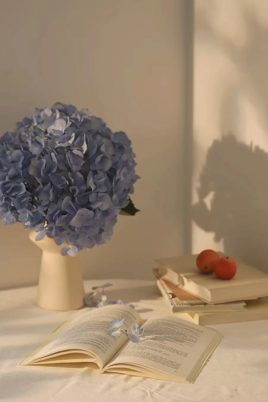 静物摄影|阳光下的静物（附布景）