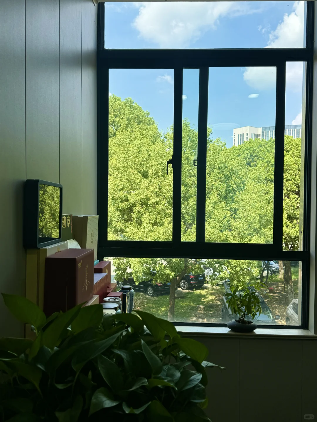 95后｜无锡钢材人的周六日常碎碎念