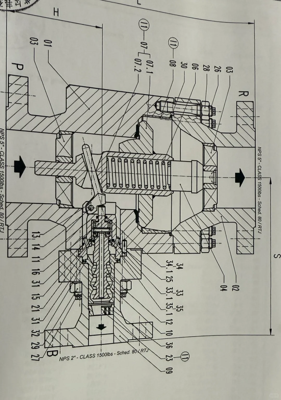自力式再循环阀（弹簧直接载荷式安全阀）