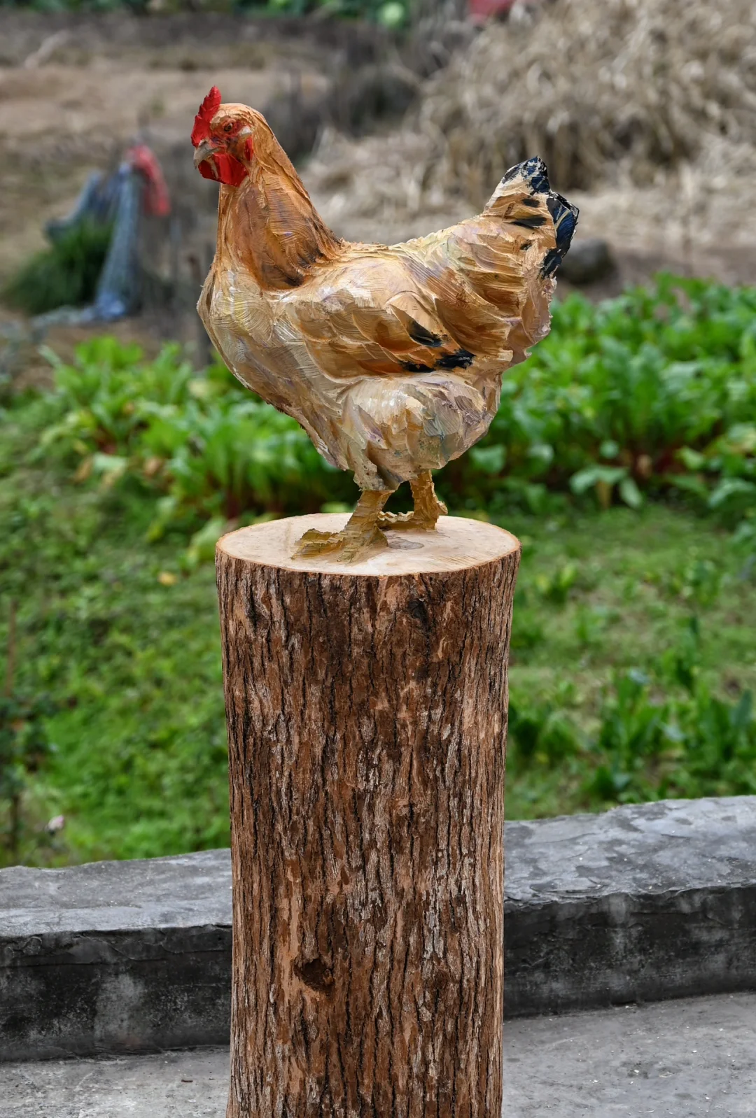 村里大娘说：谁家的鸡跳到小邓的木头上了