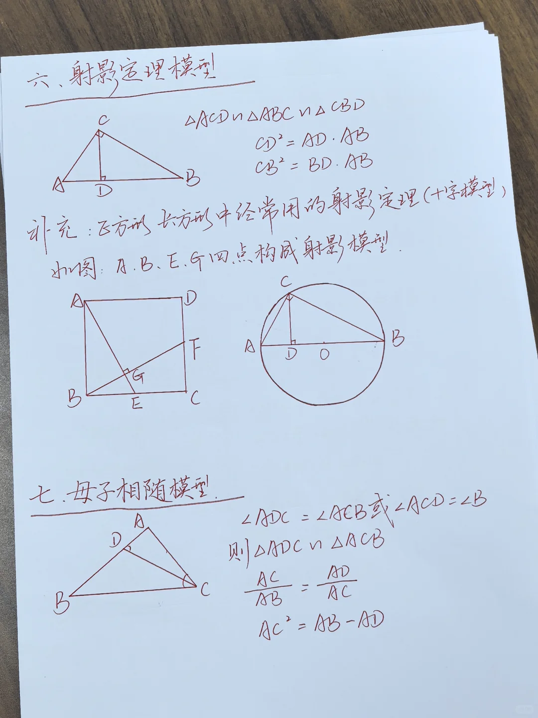 相似三角形十二大模型（学生版）