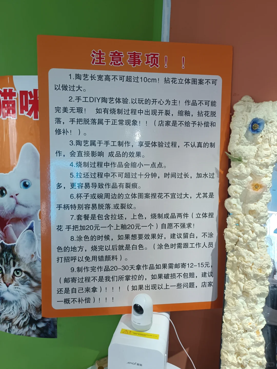 南京超值超便宜陶艺店！可撸猫撸小猪