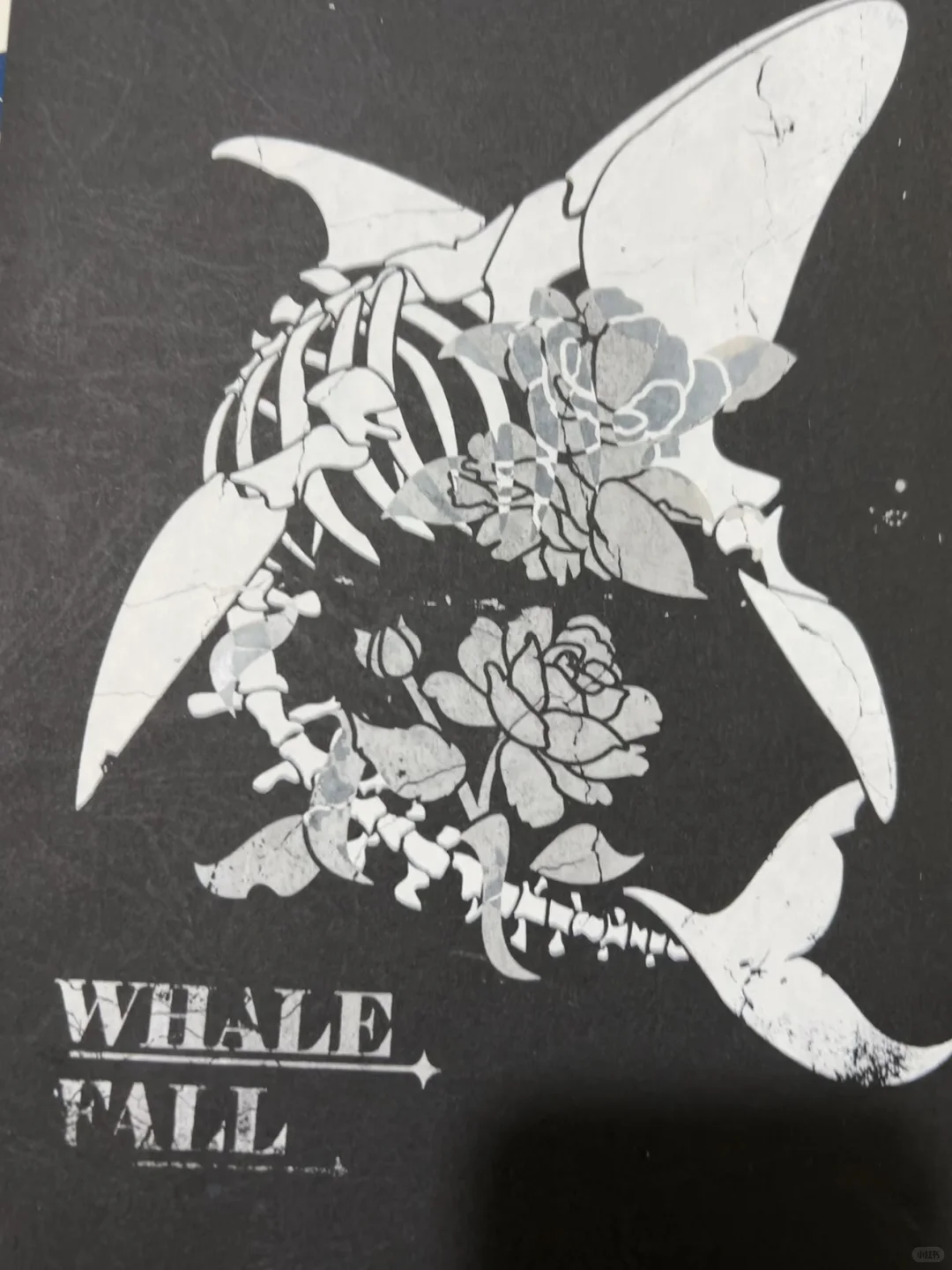 丝网印刷—鲸落