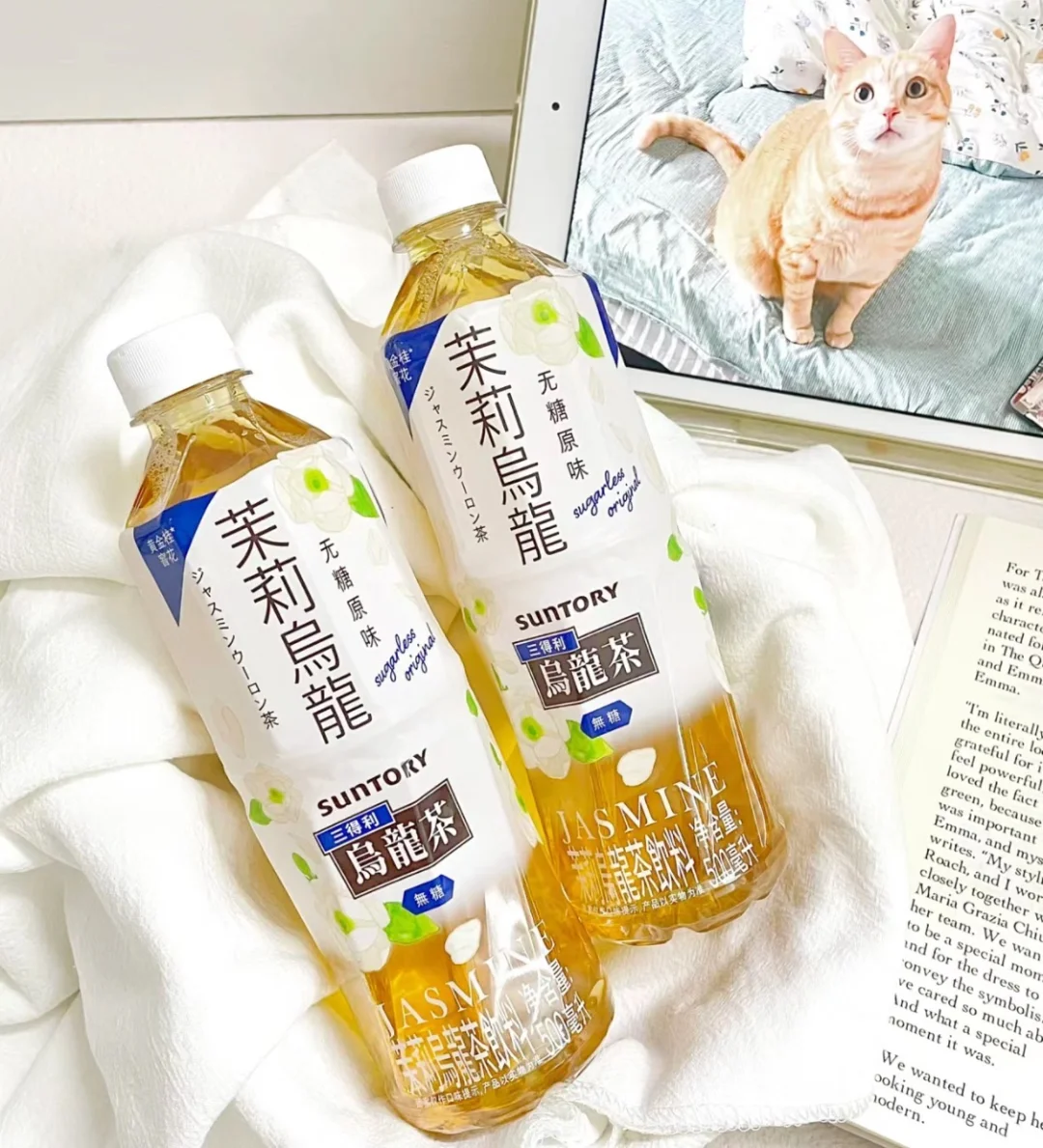 ?茶饮料合集 | 纯茶控必喝清单来啦??✨
