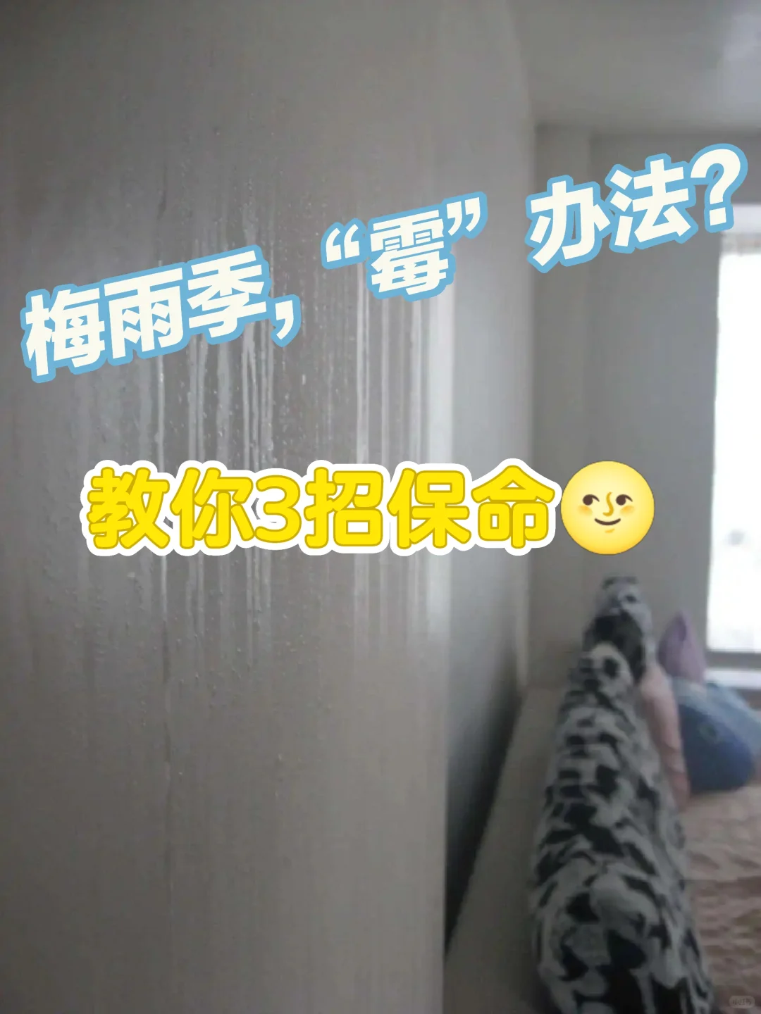 梅雨天刷漆发霉?南方老师傅的防霉秘籍来咯