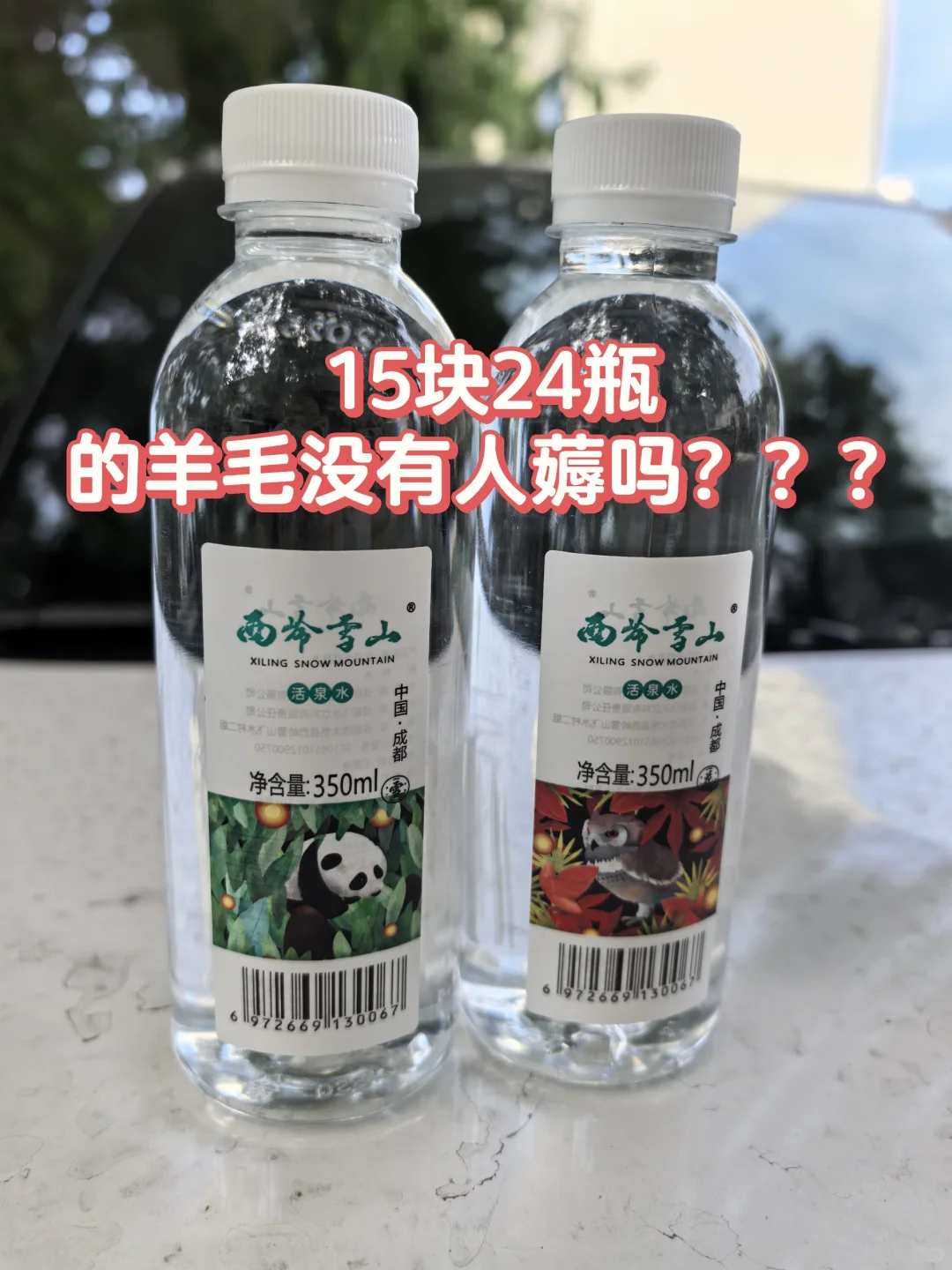 大熊猫山泉水来了！快抢！