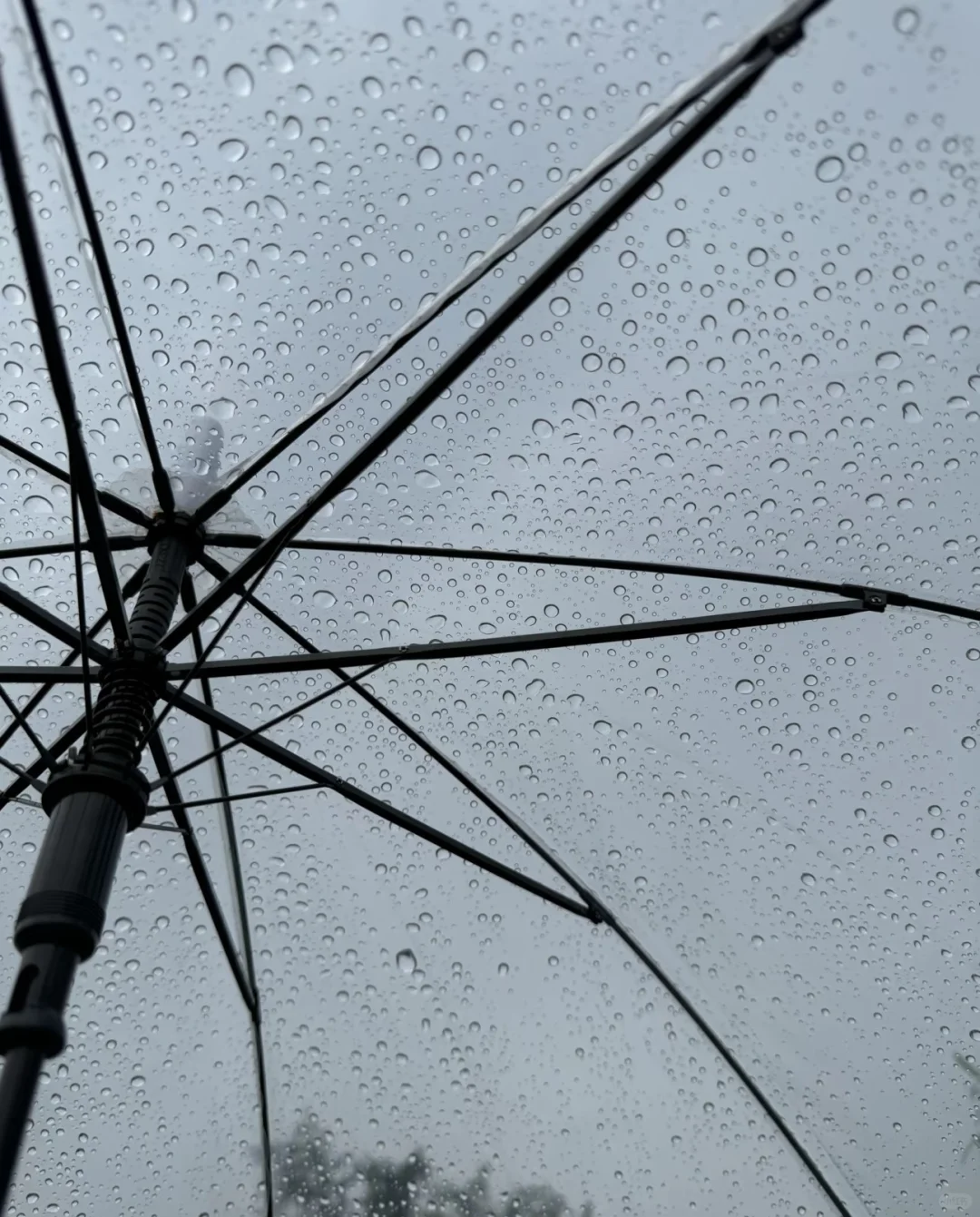 当我拍到雨天的玻璃窗……