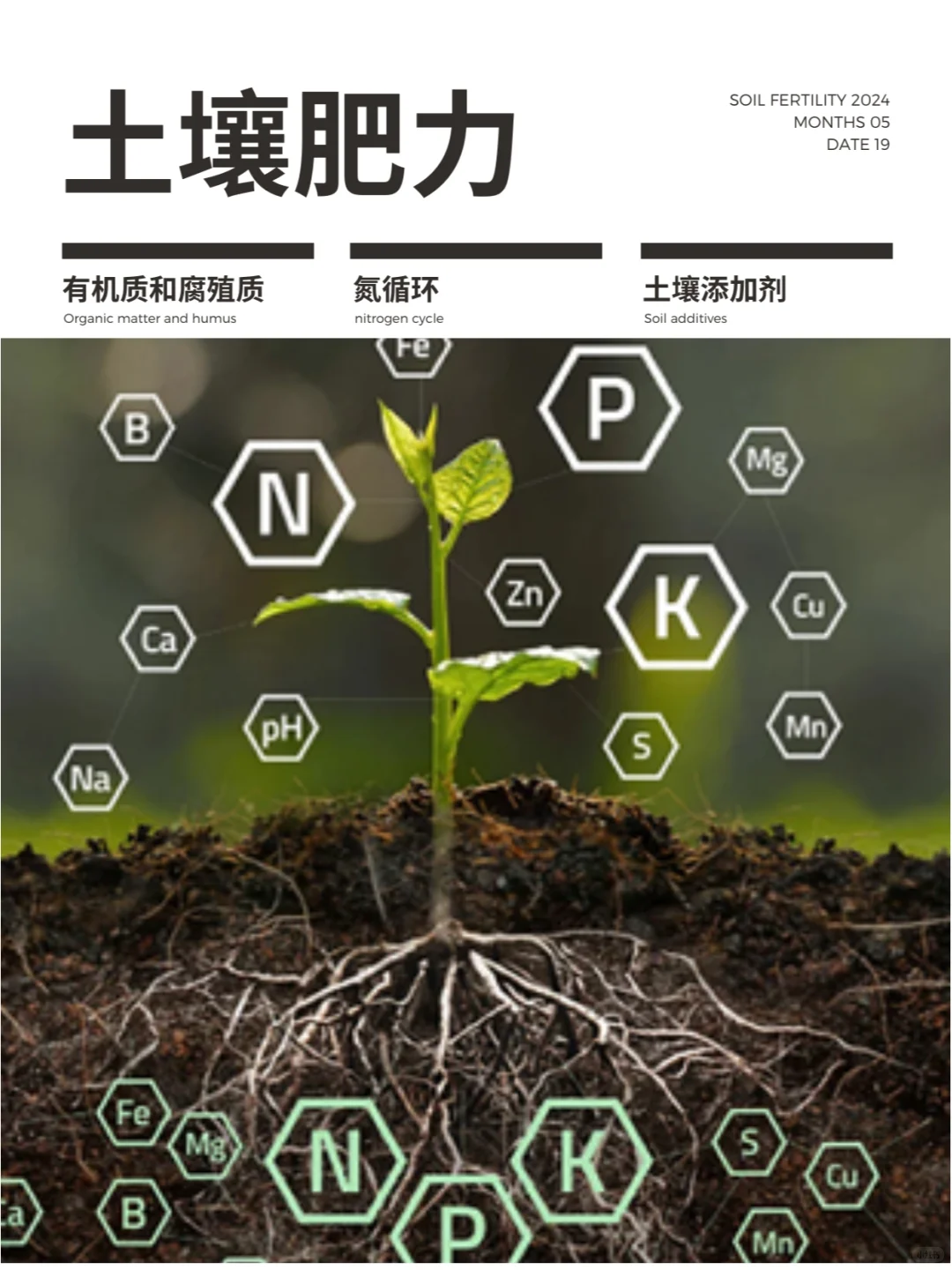 土壤肥力