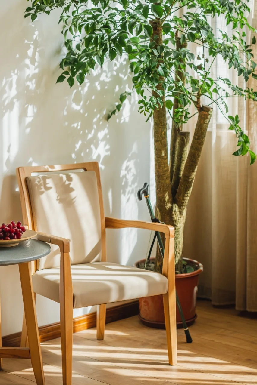 谁说老人不能坐好看舒服的椅子?