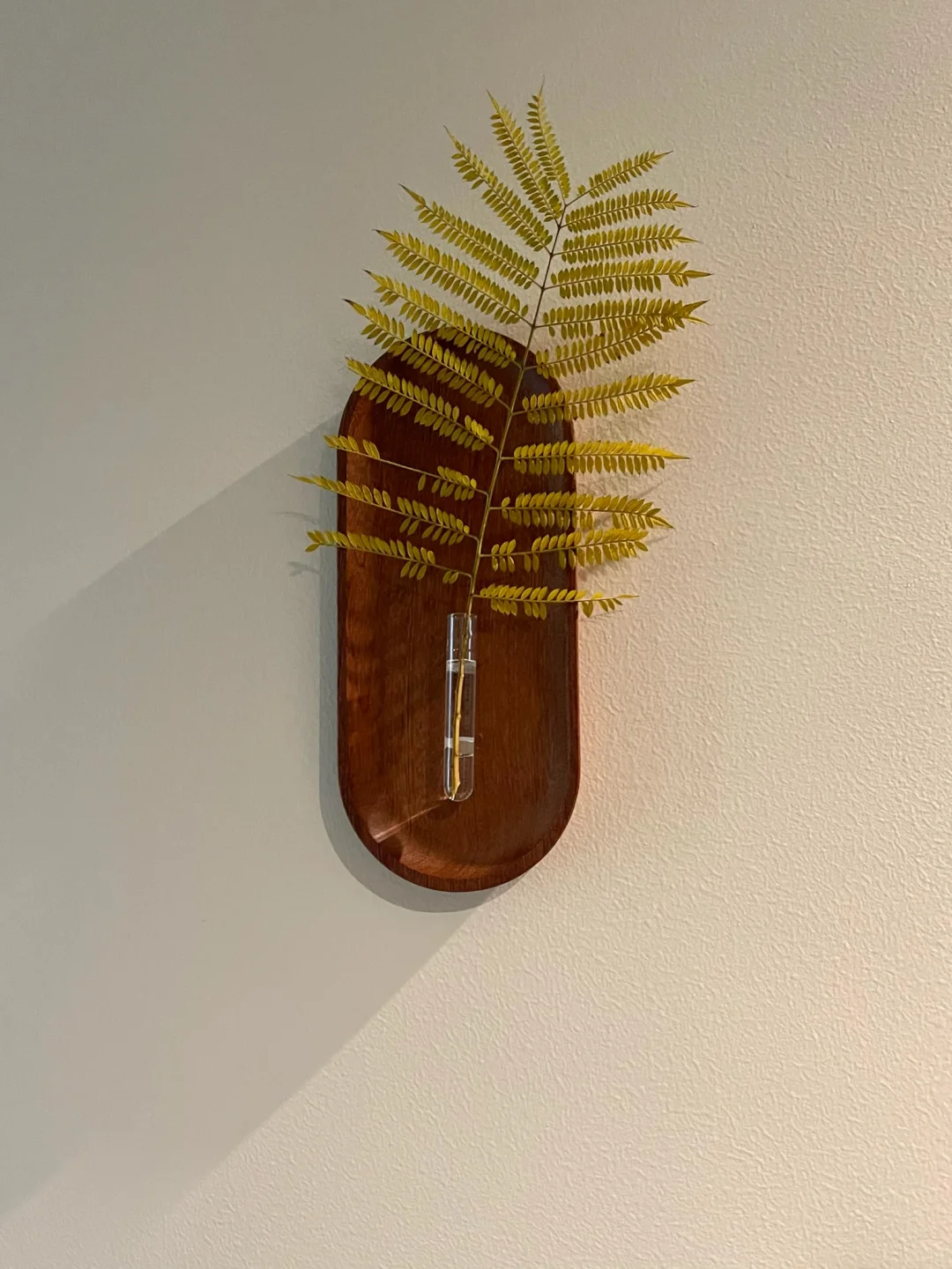 抄作业成功｜6块?的快乐