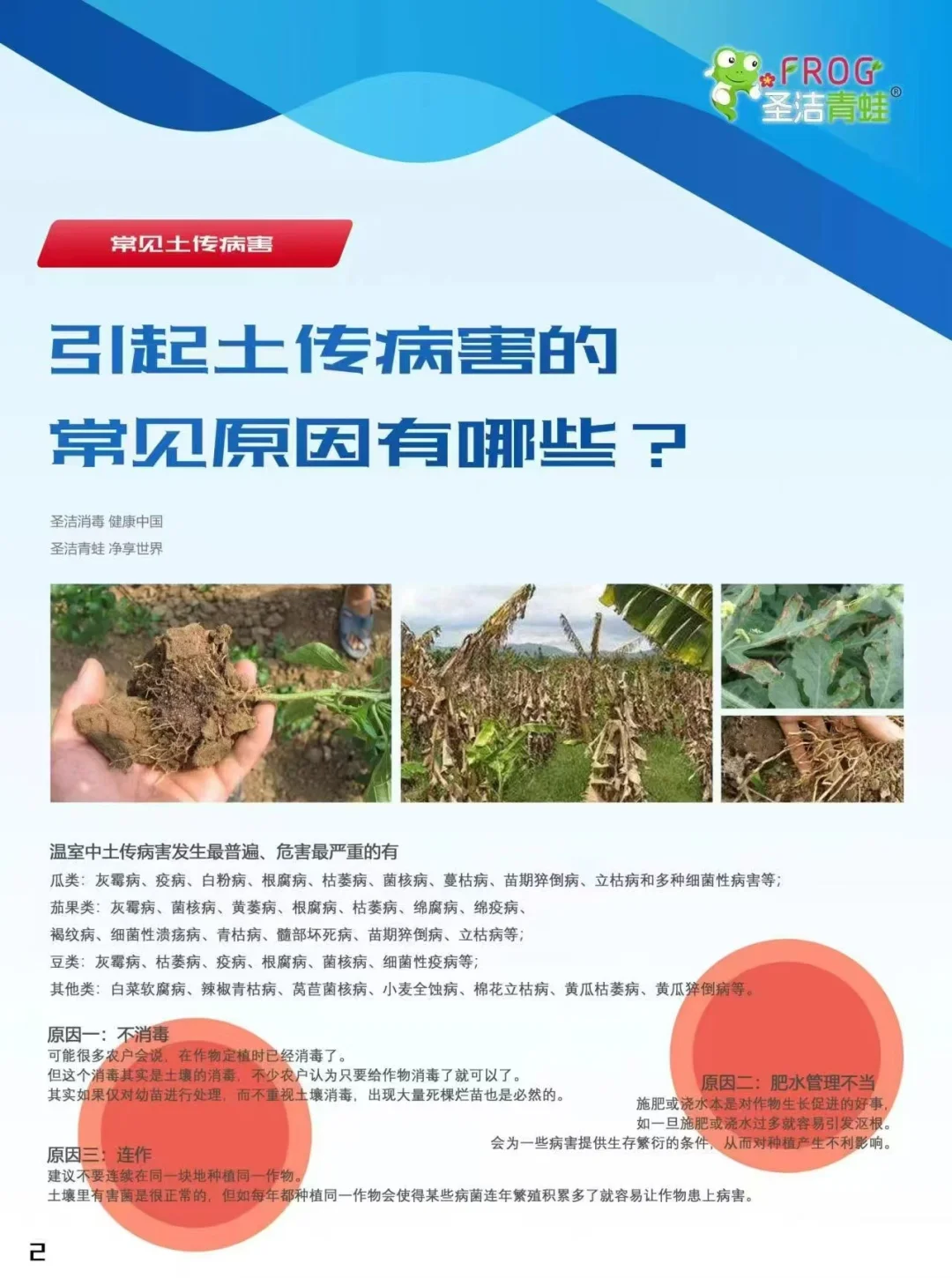 圣洁青蛙土壤消毒剂的有效成分和使用方法！