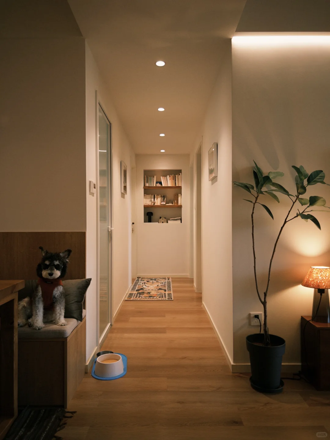 75平小家，这样布置很舒服