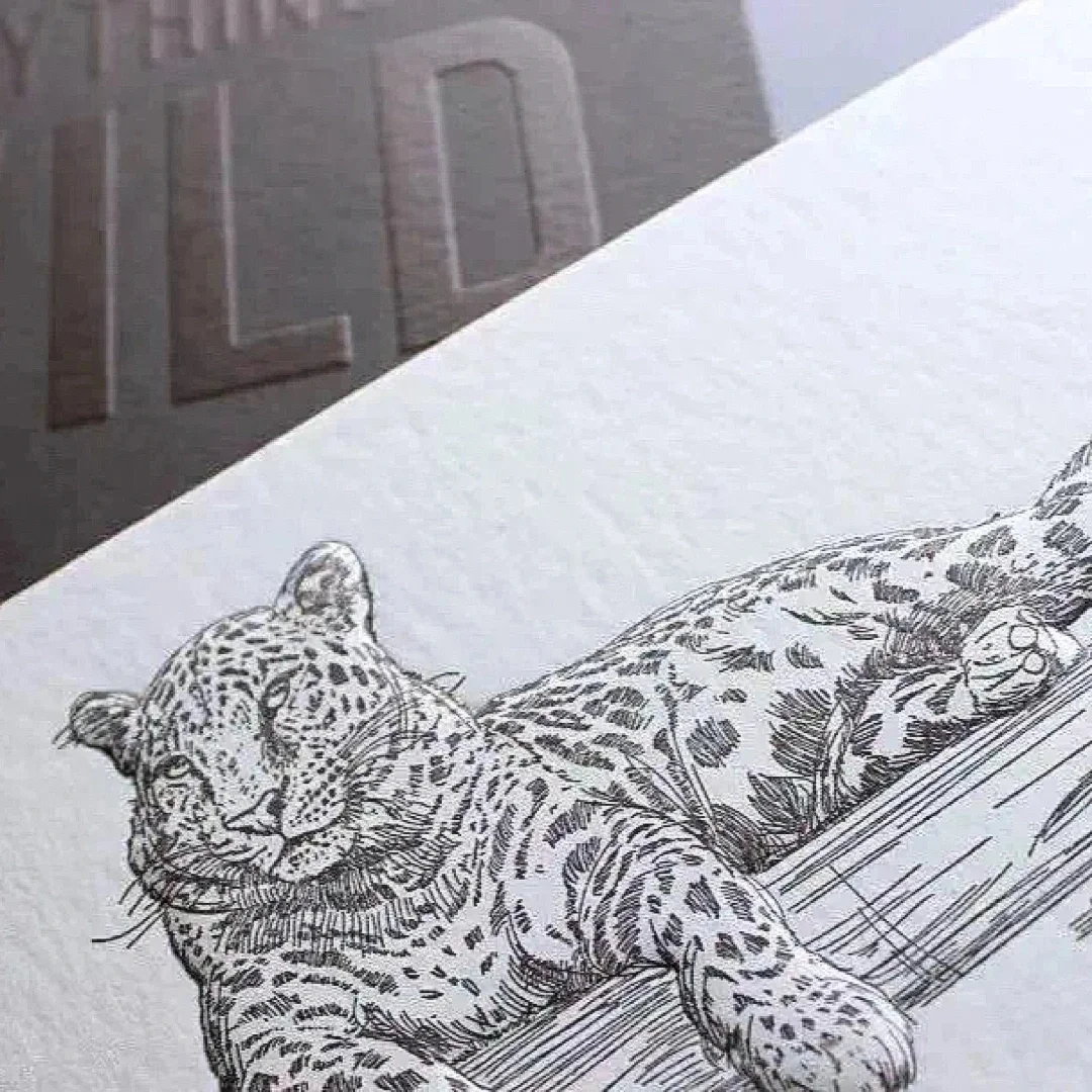 推荐几款凹凸效果出色的特种纸