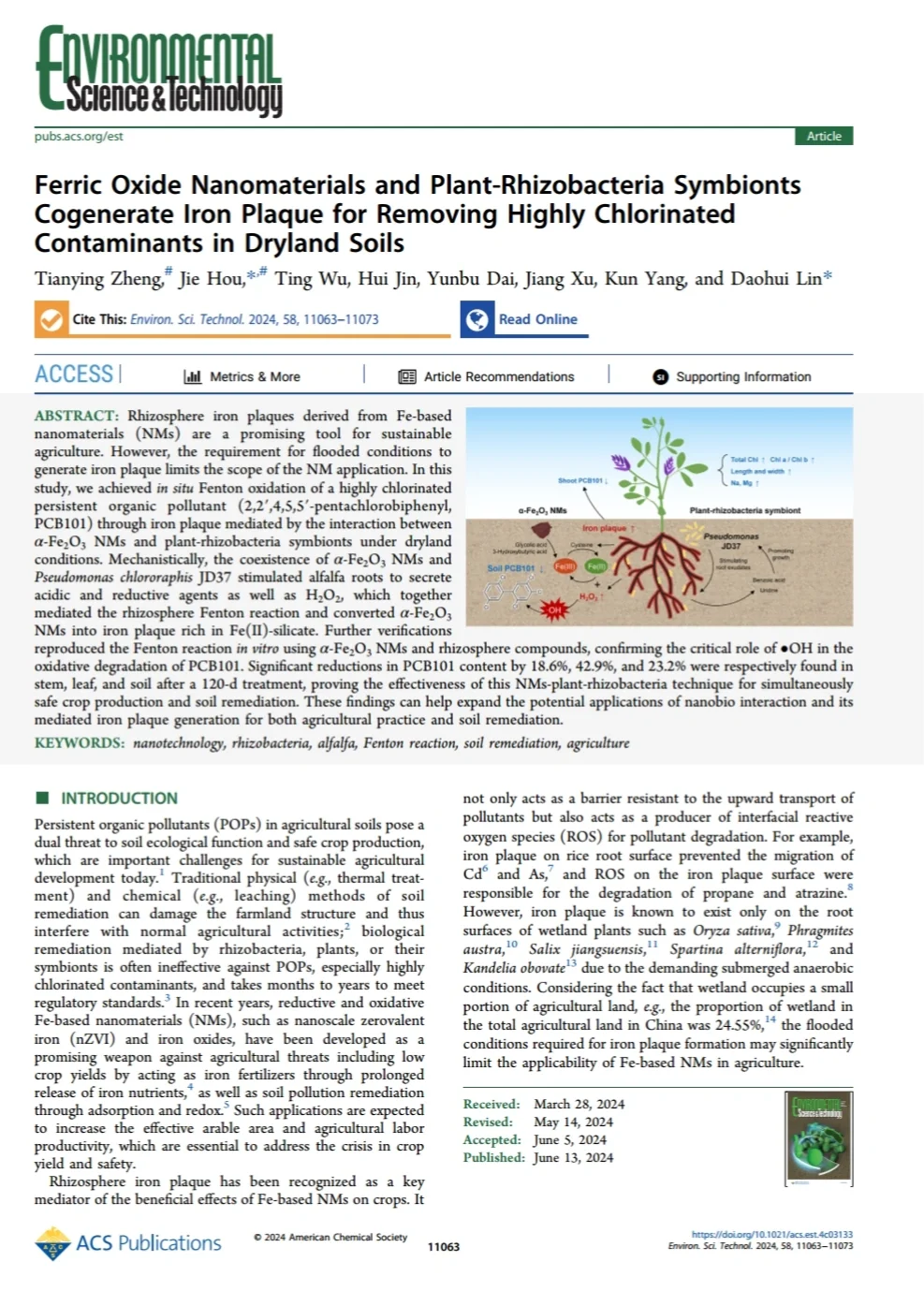 文献速递|ES&T|FeNM植物根际菌共生修复土壤