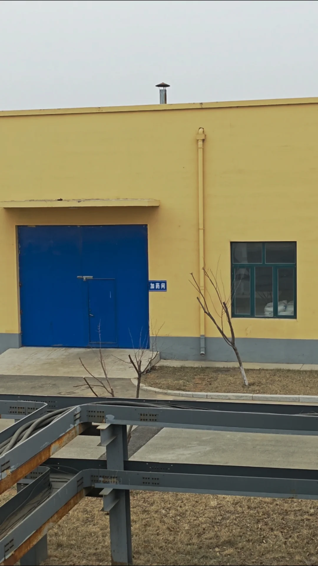 来啦上班~最近在锦州