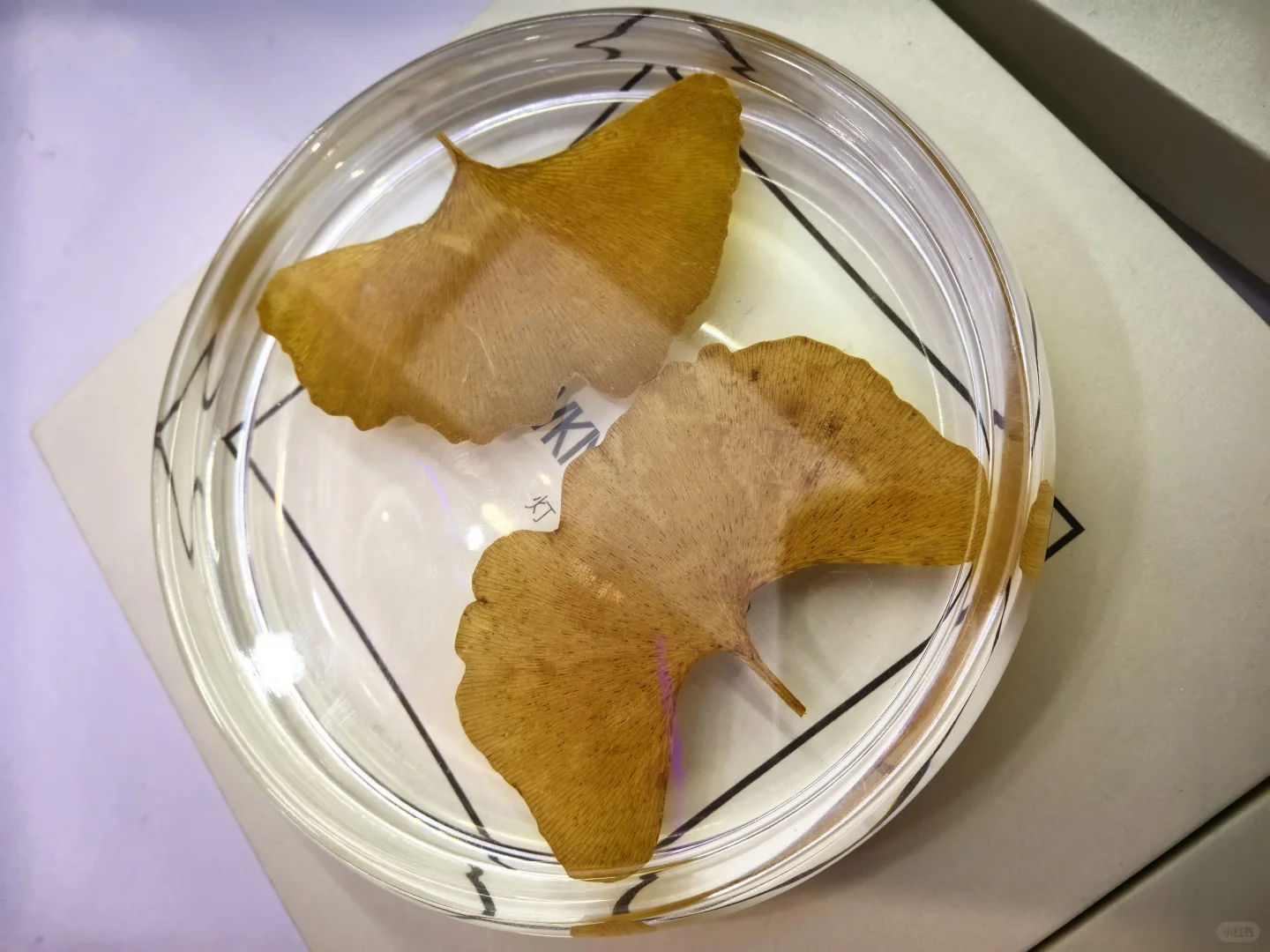 CMF树脂工艺01篇：从液态到固态的工艺魔法