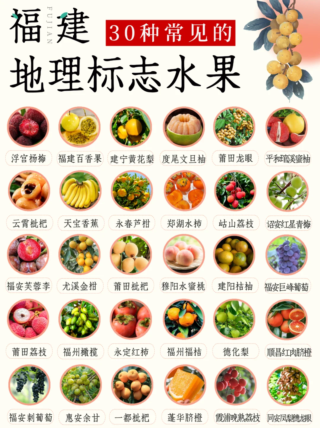 福建水果图鉴丨山海碰撞出的甜，你吃过几种