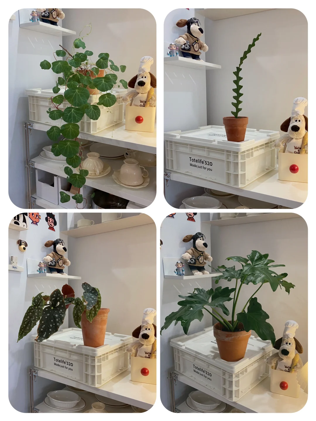 低至8.8?｜平价高颜值奶油花盆花瓶合集4