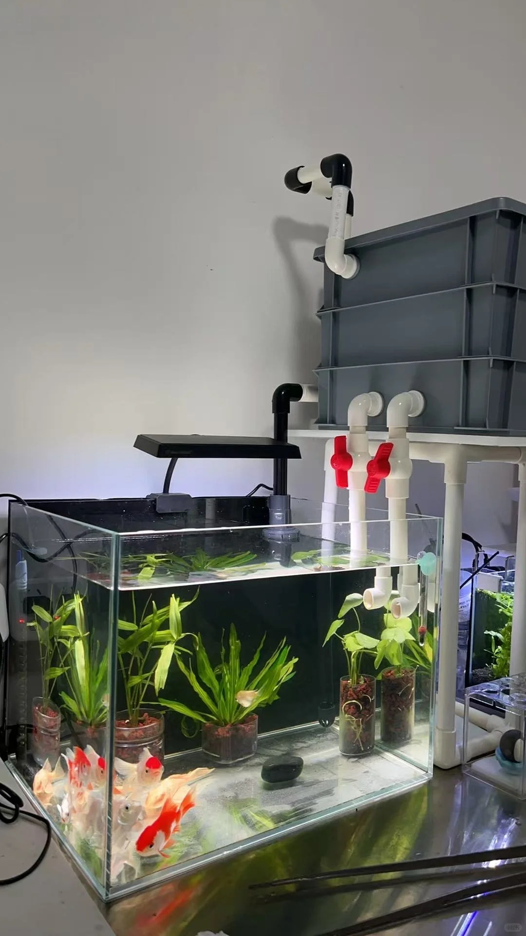 记录外置水泵最终模样