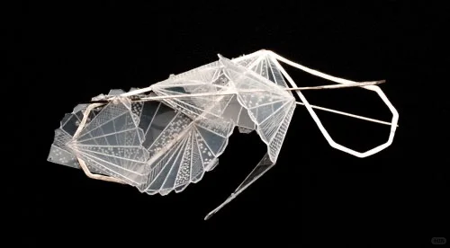 废料美学26｜塑料餐盒的立体重构