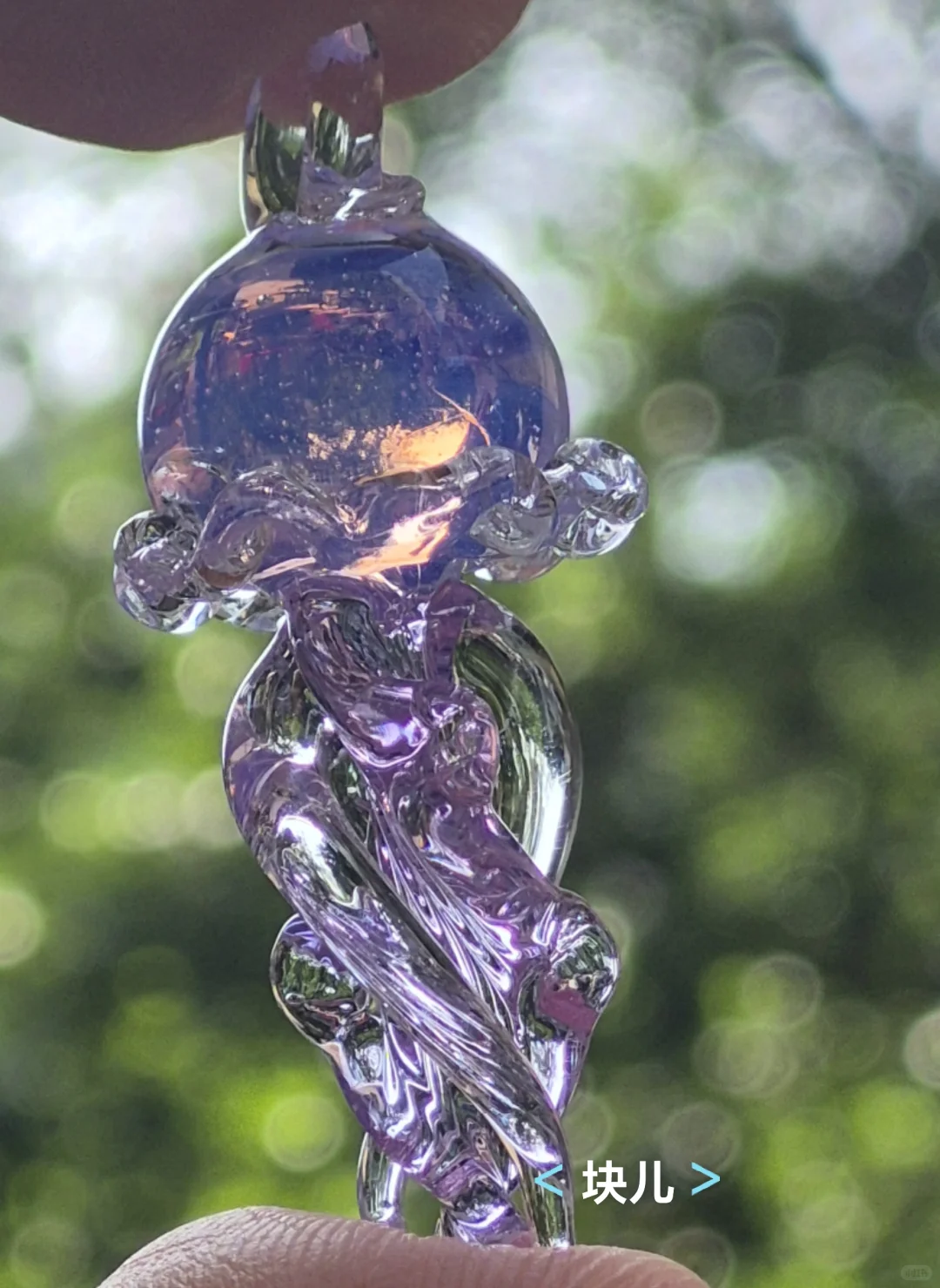 最近在直播间买的一些水母测评