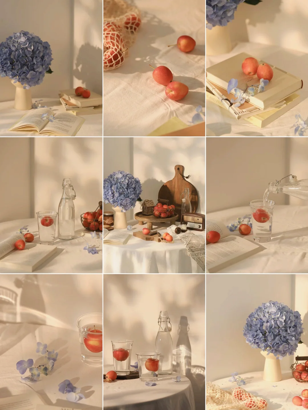 静物摄影|阳光下的静物（附布景）