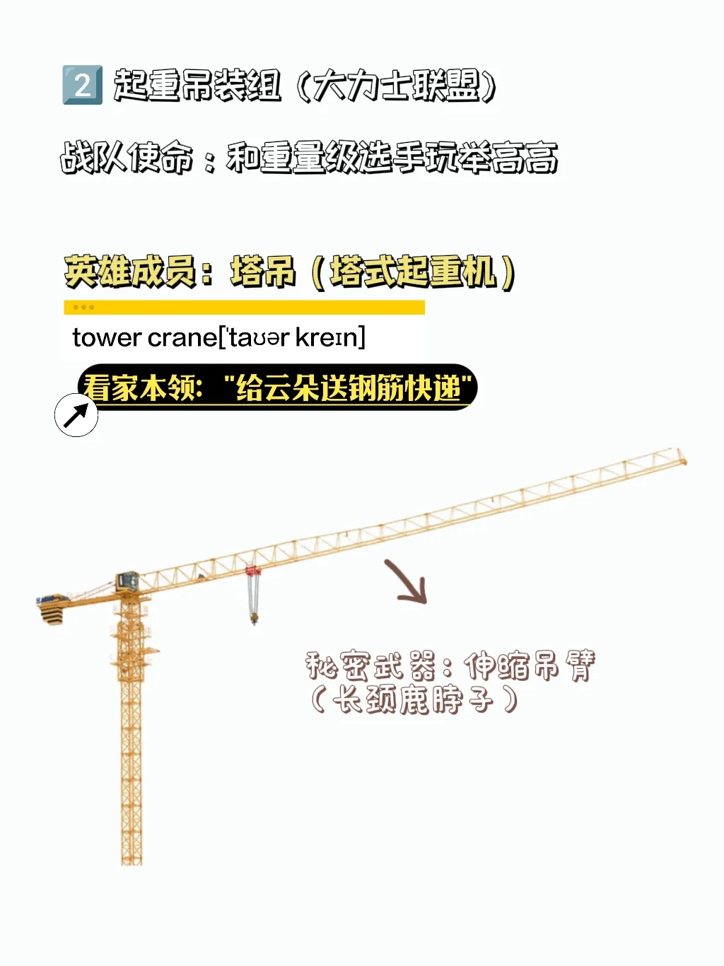 ?【2岁+宝宝秒懂】工程车家族大揭秘?