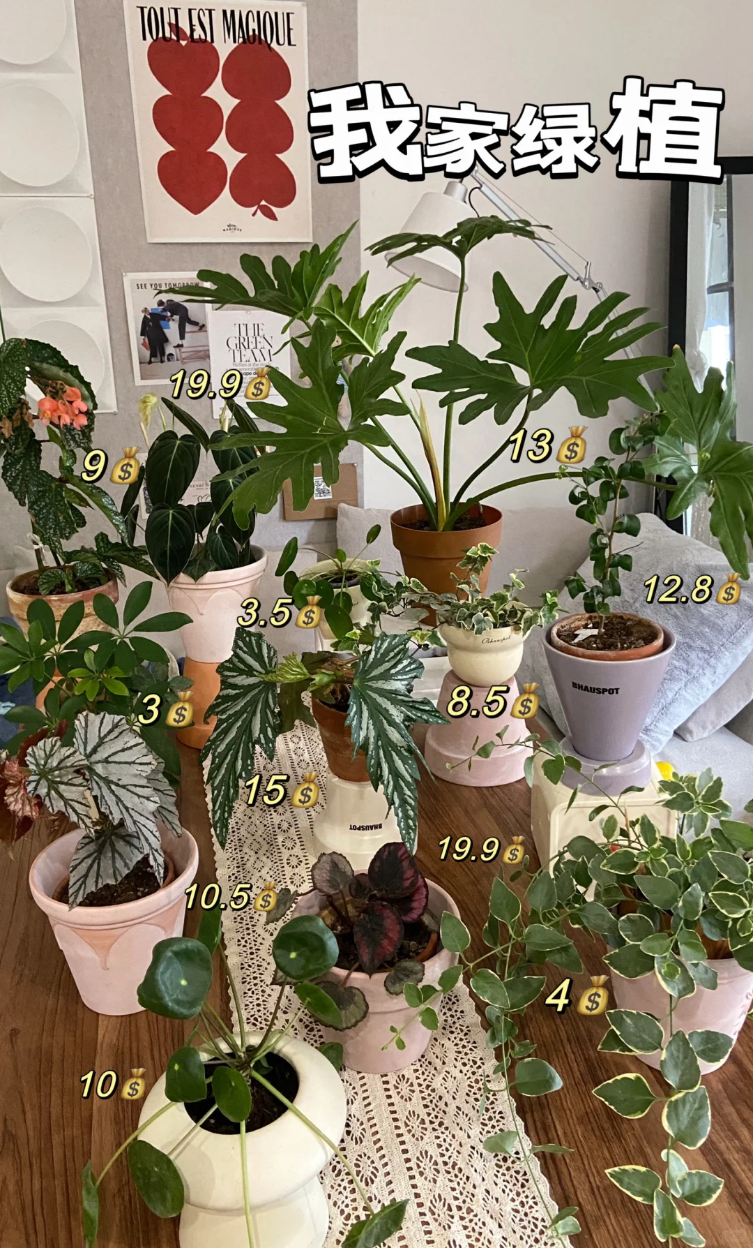 低至8.8?｜平价高颜值奶油花盆花瓶合集4