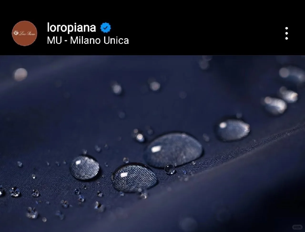 loro piana storm system暴风雨系列