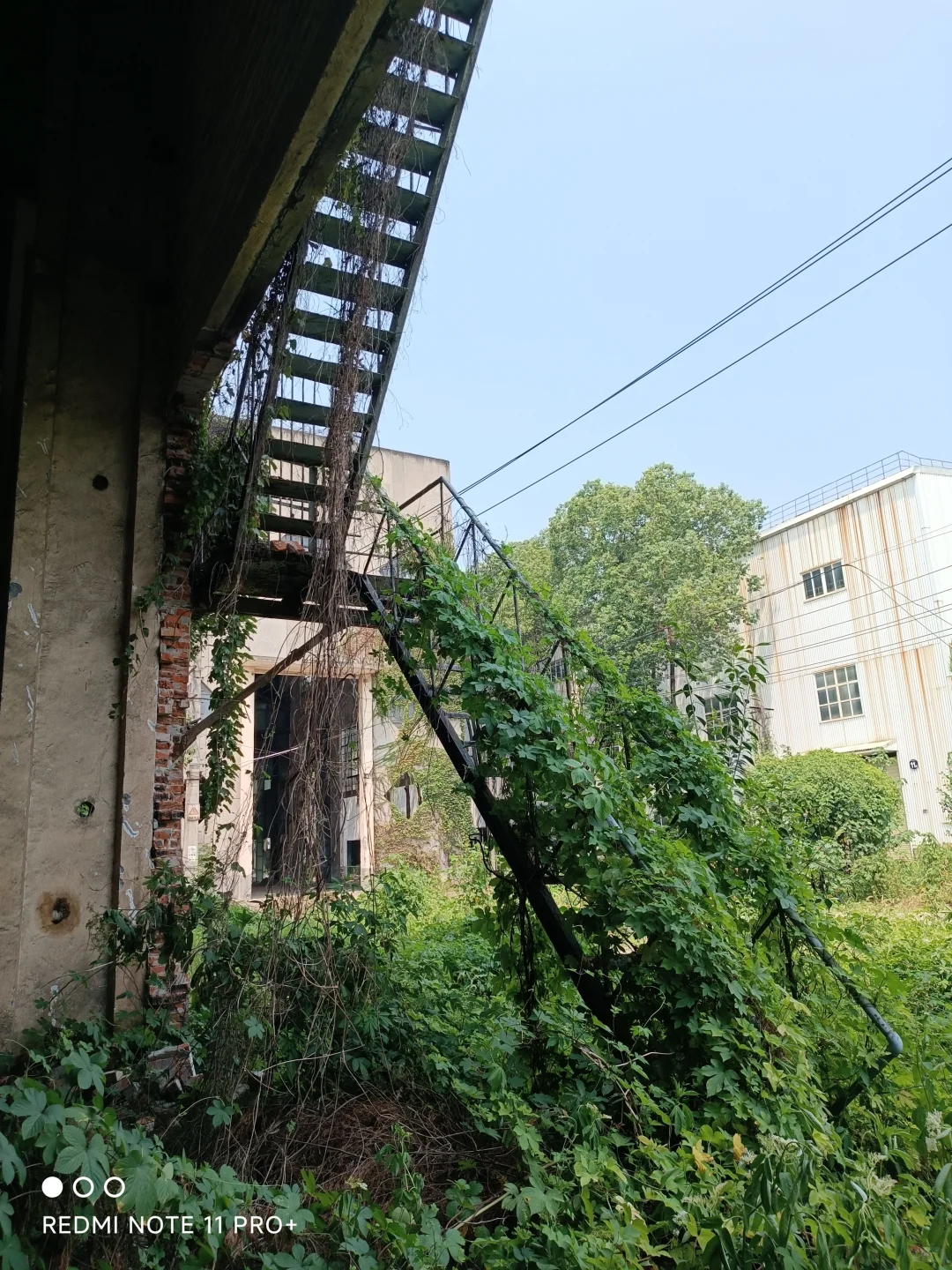 探访被世人遗忘的川冶机械厂旧址建筑群遗存