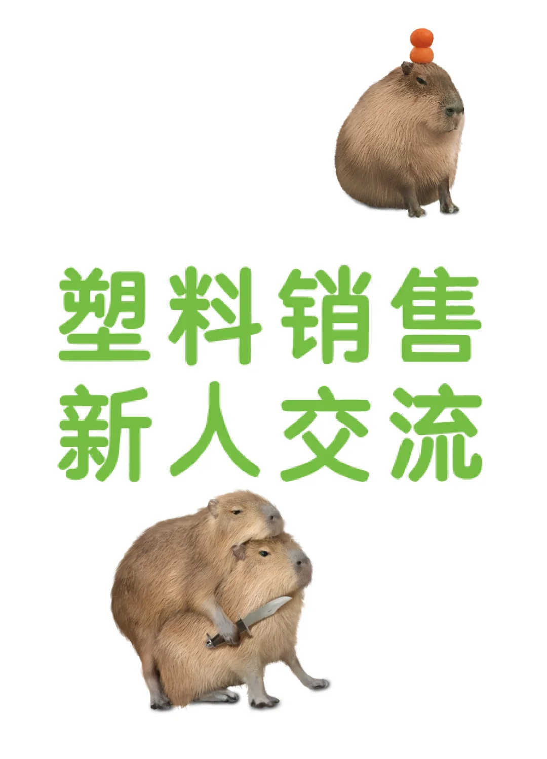 塑料小白入行第三周