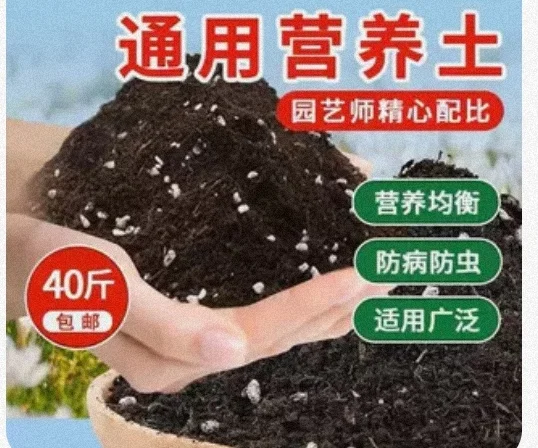 （花友必看）工业废土是什么鬼怪？