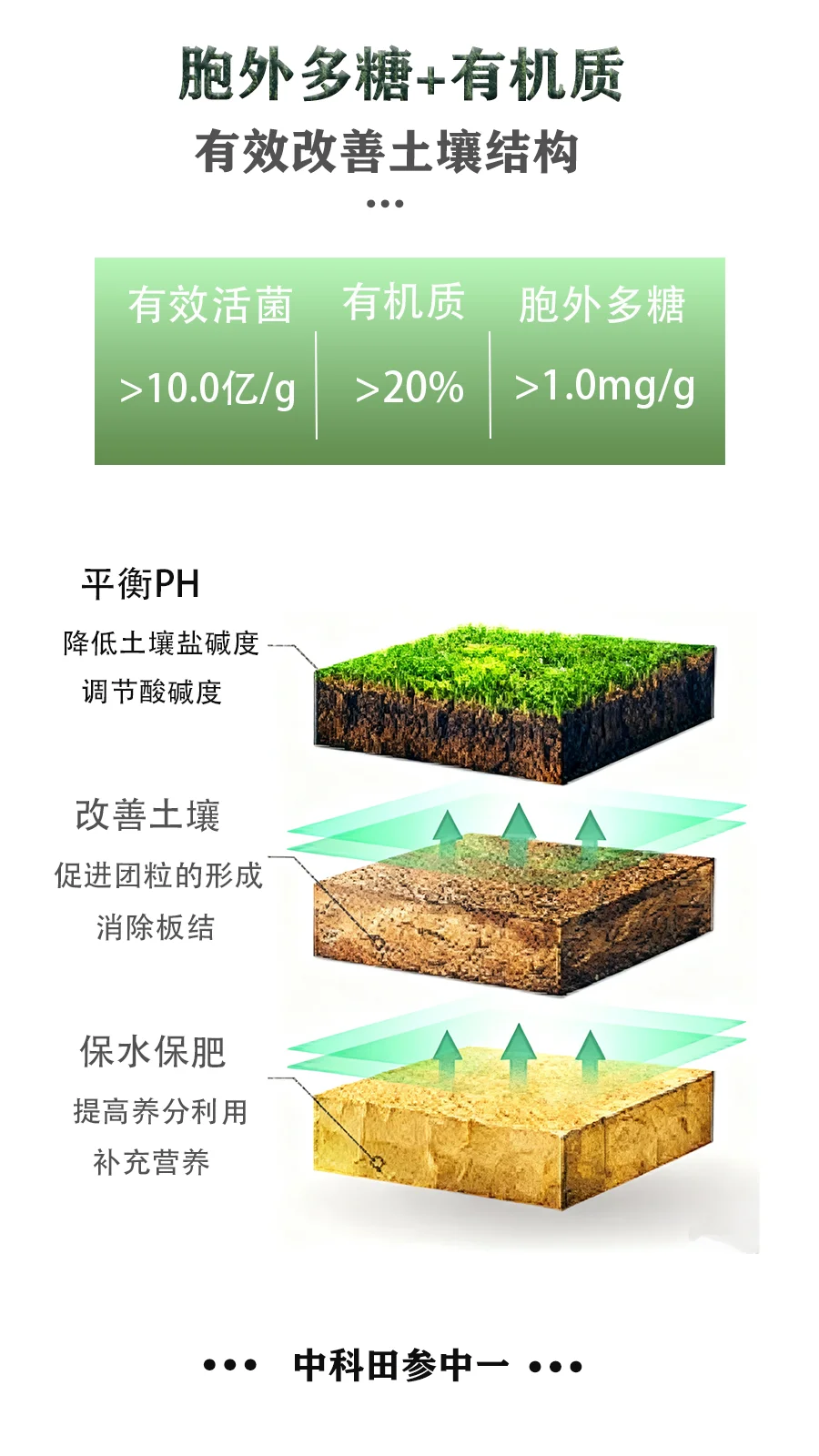 中科田参加土壤修复菌剂——为土壤“焕活新生
