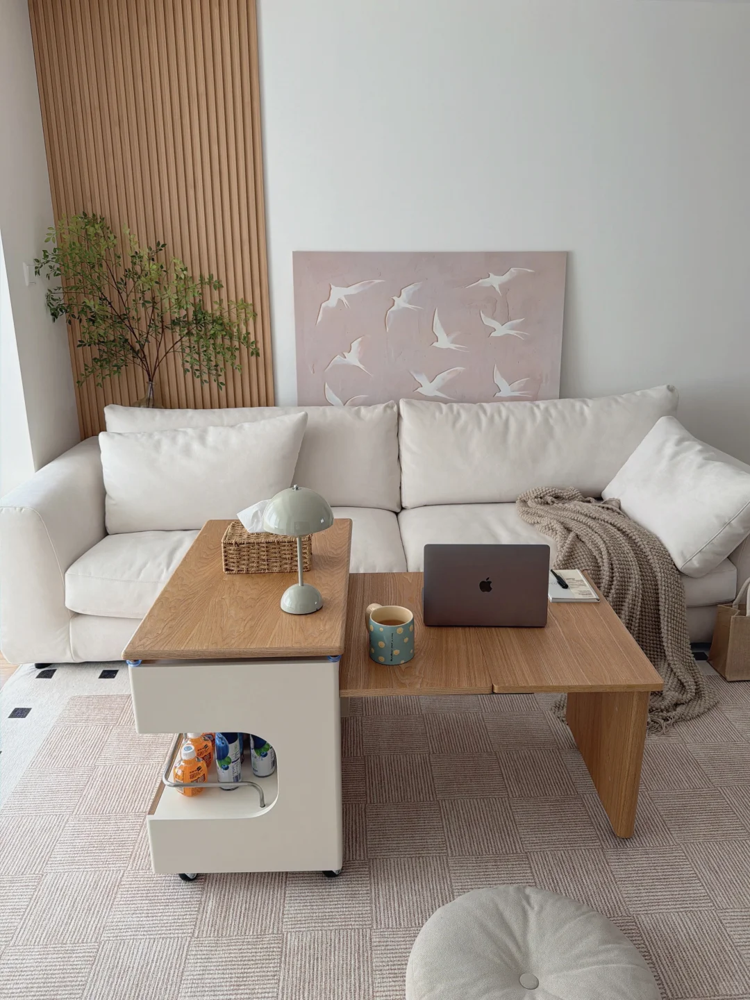 去年拿房在小?上分享装修，现在粉丝过万了