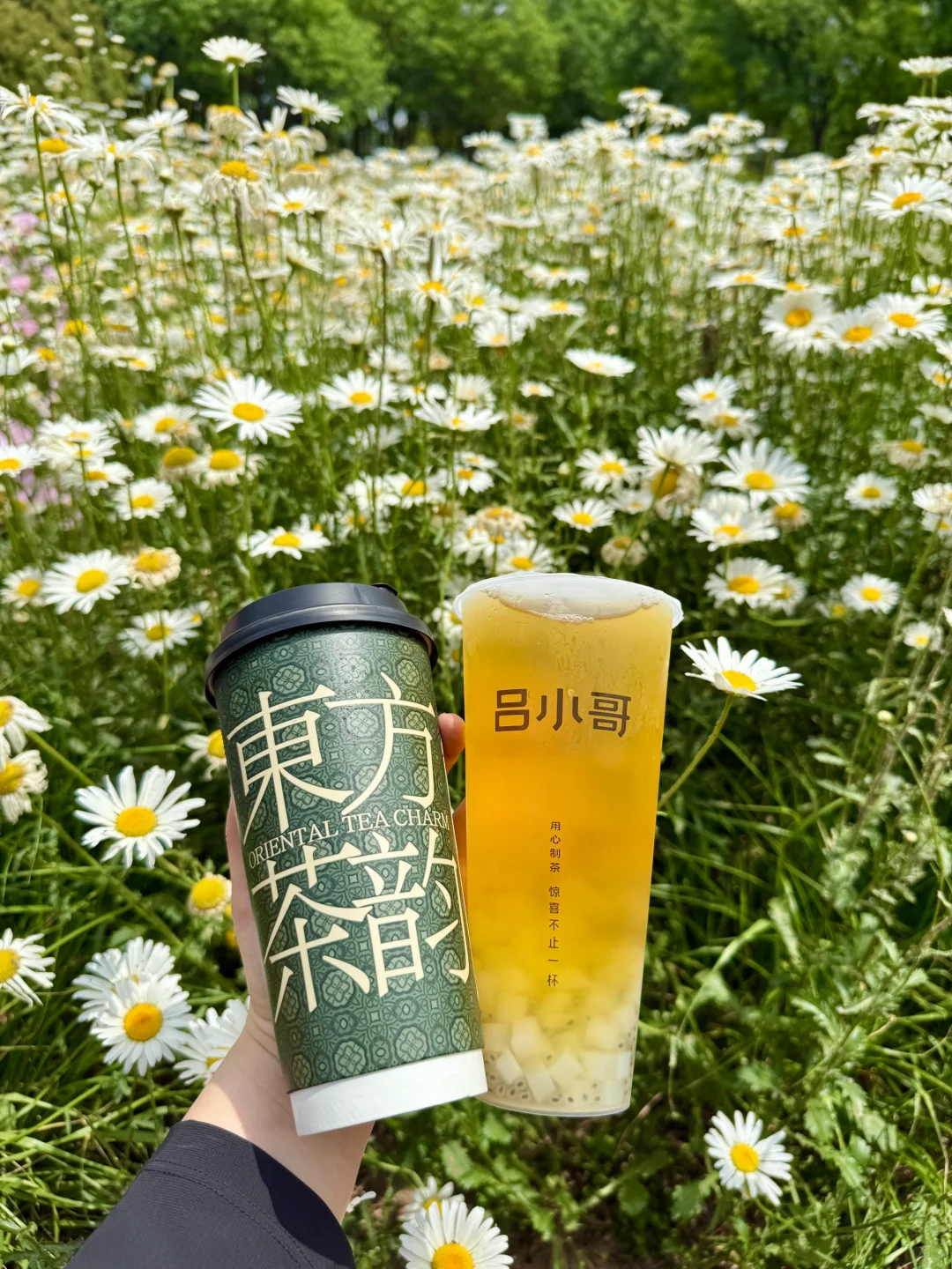 3！r！的夏日快乐水?我能喝一辈子??！！！