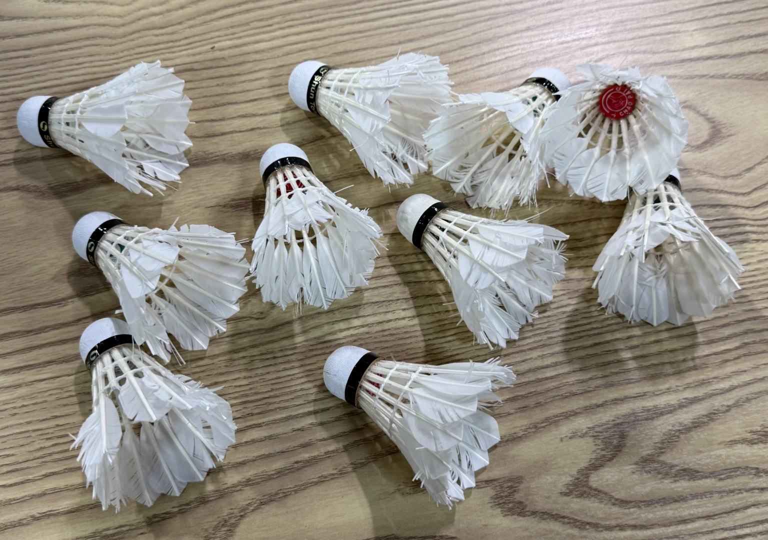 夏天持续强度运动的电解质水合集