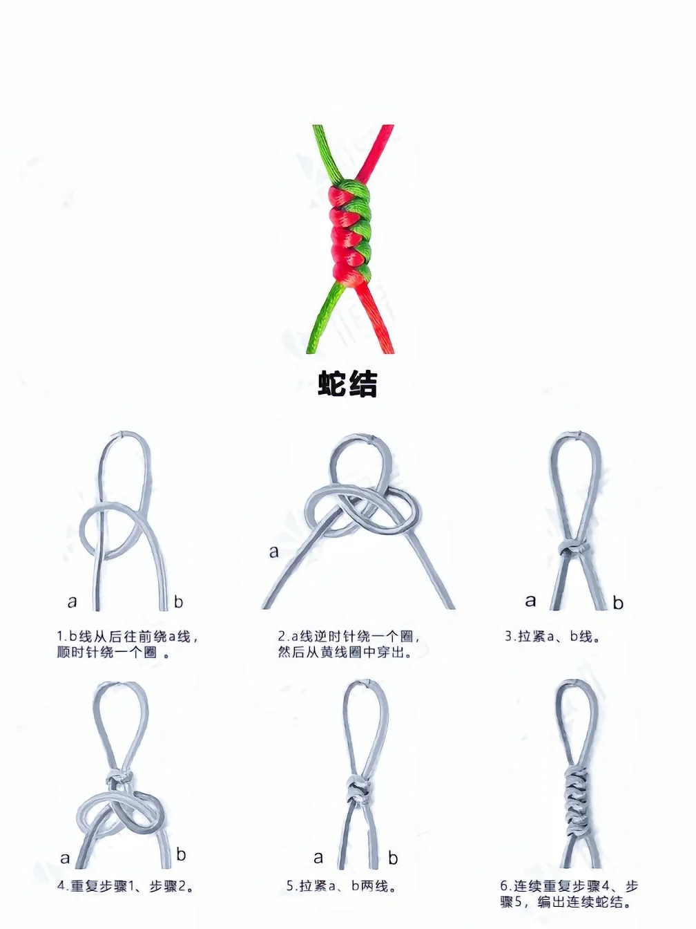 全网 zui全?绳结教程，一学就会！