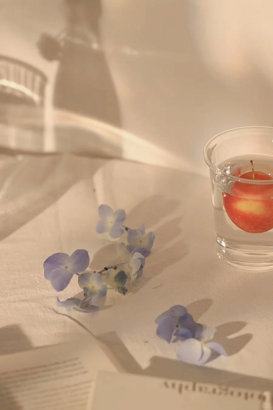 静物摄影|阳光下的静物（附布景）