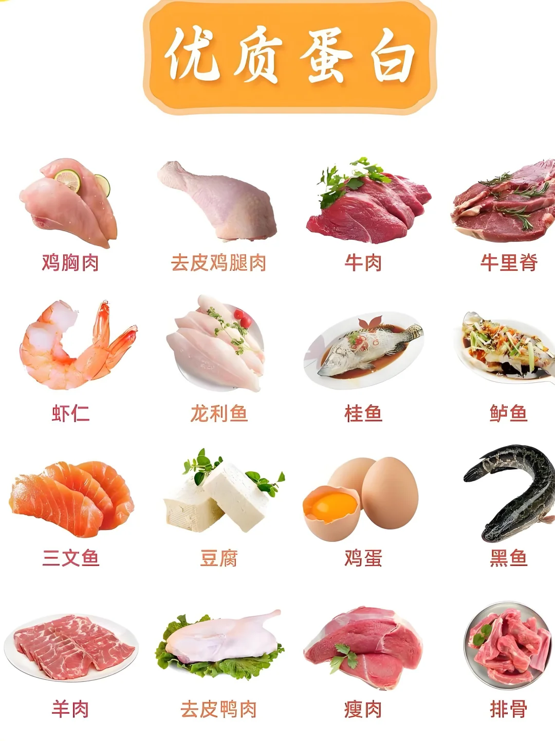 健身小白必看！碳水、膳食纤维、蛋白质的奥秘✨