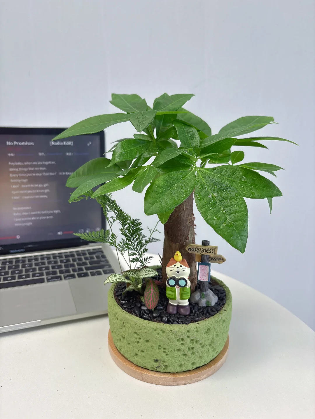 因为这个工位绿植?我不想下班了