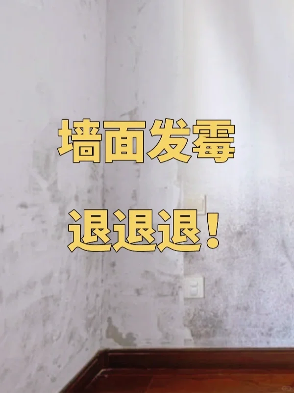 到底是谁还没看到这篇防霉攻略!我会伤心的