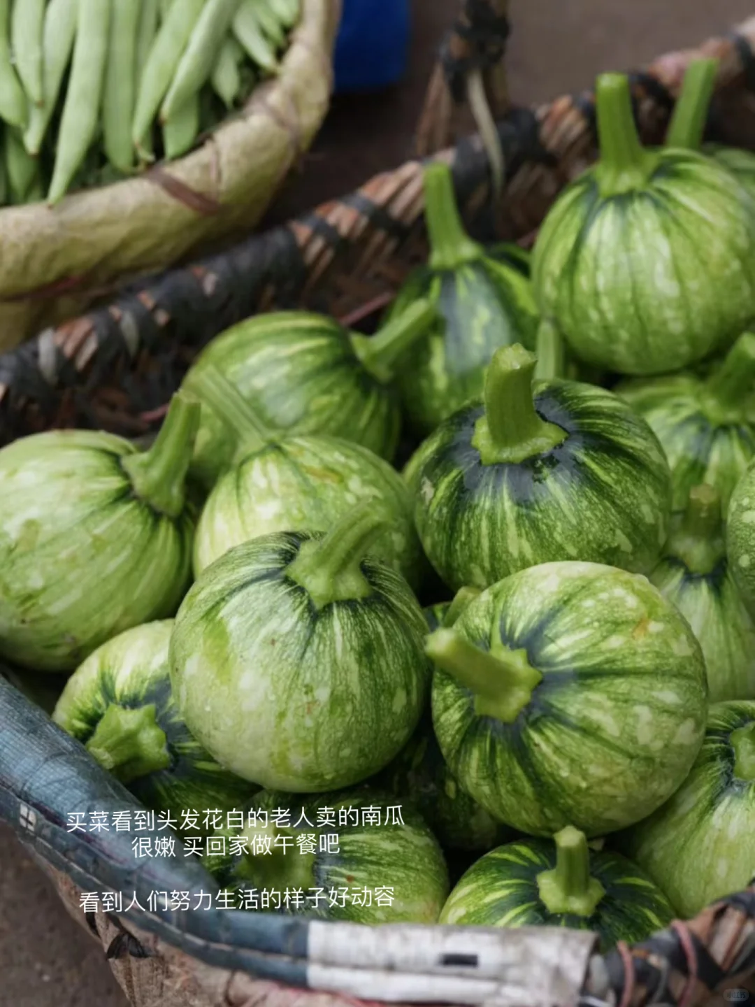 Plog ?? 还好 美好占了世界的大多数