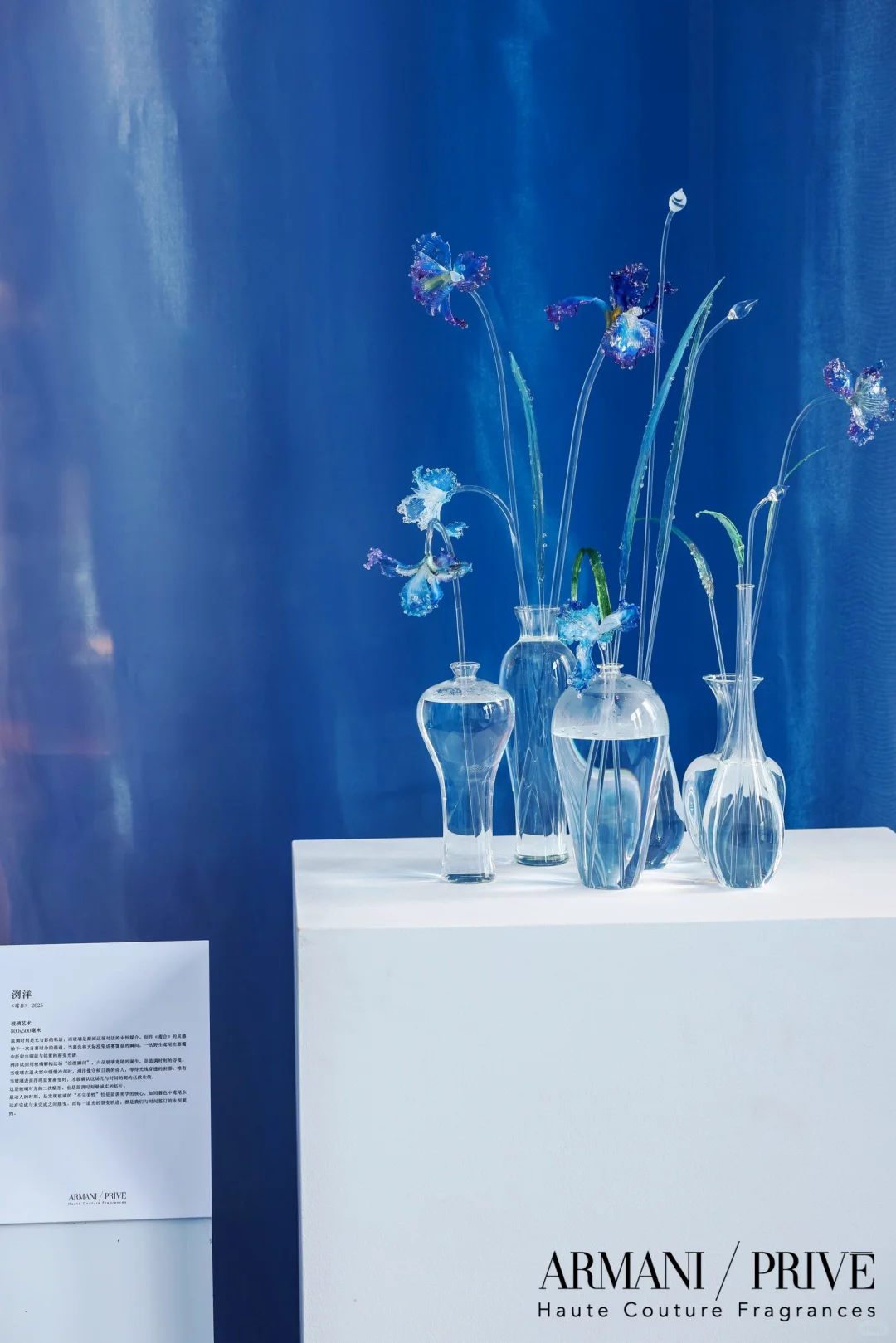 为ARMANI做的蓝鸢 |玻璃艺术