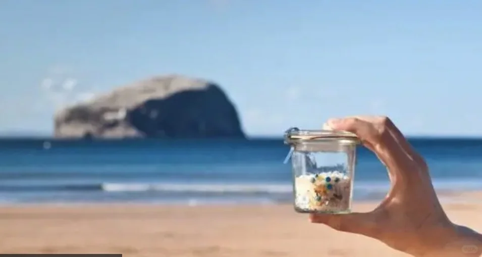 全球塑料污染比我们想象中的更严重